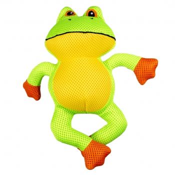 Wasserspielzeug  Frosch