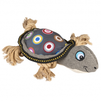 Canvas Schildkröte