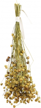 Leinsaat Flachs 30g