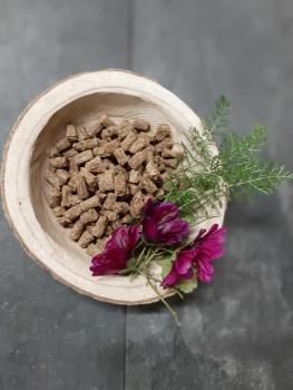 Trainingssnack von Wild 100g