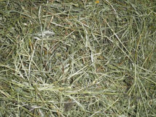 Wiesenkräuterheu 1kg